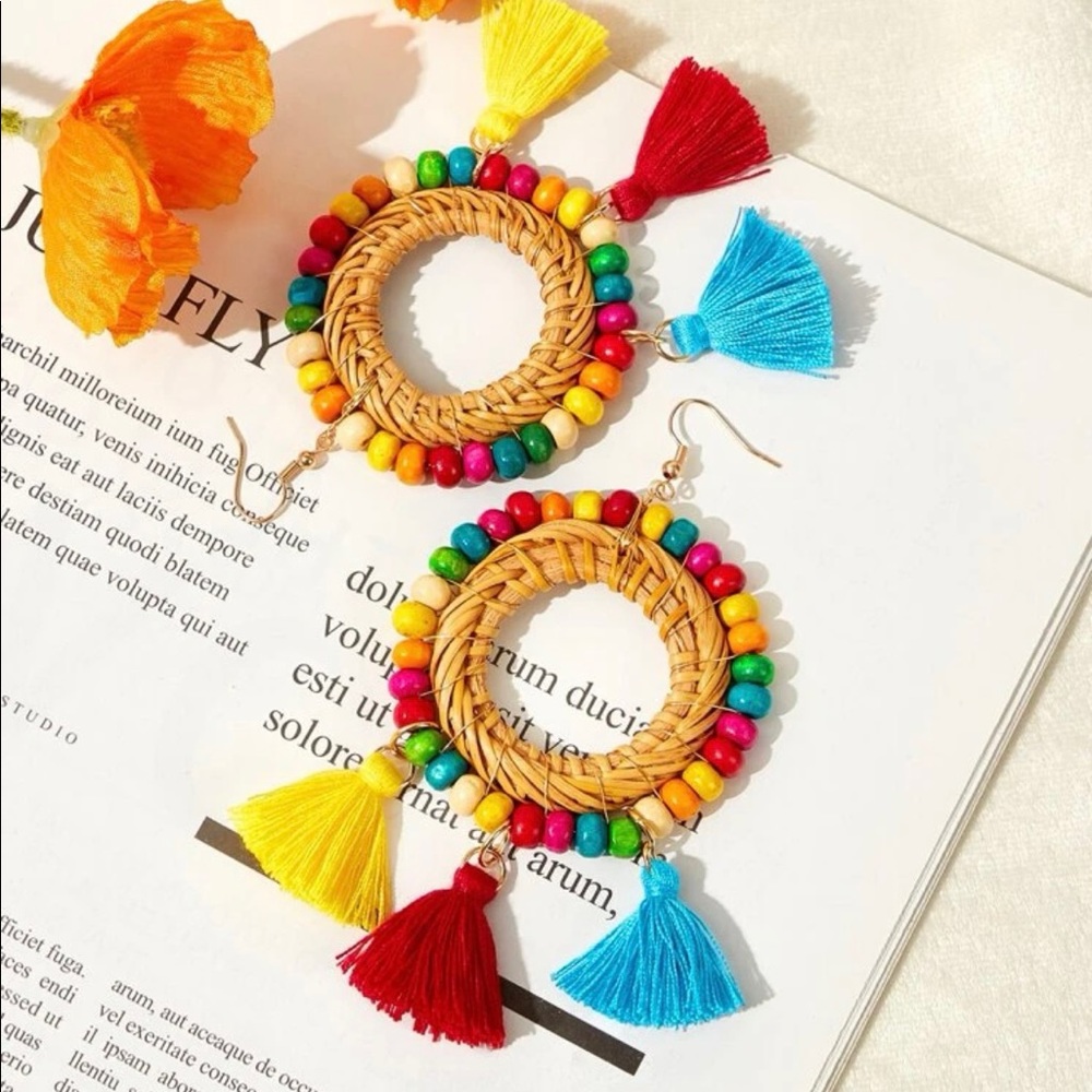 EARRINGS NWOT